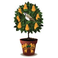 Partridge in a pear tree N2