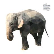 Elephant polygon vector
