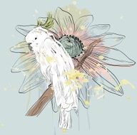 Parrot N5