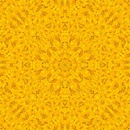 Abstract Seamless Color Background N3