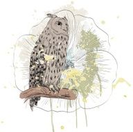 sketch of a owl N3