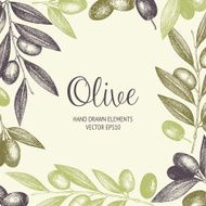 Vintage olive background N23