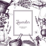 Vintage card with lilac lavender flowers sketch