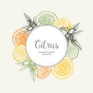 Vintage citrus background in pastel colors