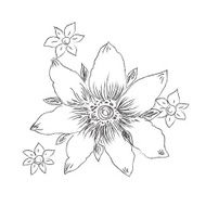 flower hand drawings sketch decorative vector illustration