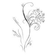 Flower sketch hand drawings vector illustration