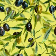 Seamless pattern with branches of the olive tree