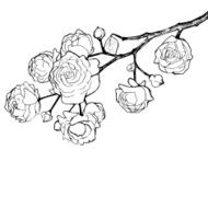 Hand drawn brunch with flowers