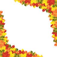autumn maple leaves N2