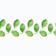 Watercolor branch with leaves Seamless border