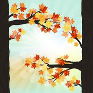 Autumn design N5