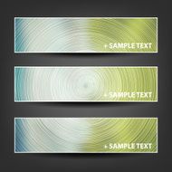 Set of Colorful Bright Horizontal Headers and Banners N6