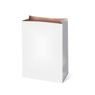 Vector white paper bag