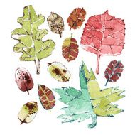 Autumn leaves set N2