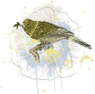bird and flower N7