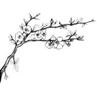 Hand drawn brunch with flowers N3