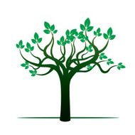 Green tree N10