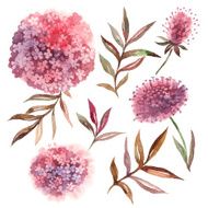 Watercolor floral set Collection with leaves and flowers paint