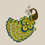 Peacock N41