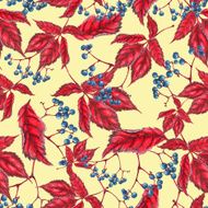 Seamless pattern of virginia creeper