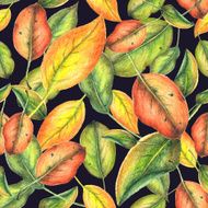 Watercolor autumn pattern