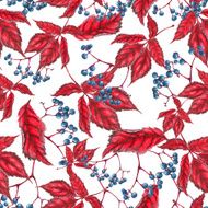 Watercolor virginia creeper