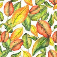 Autumn pattern N10