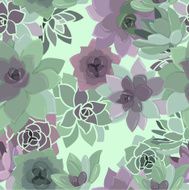 succulent pattern N2