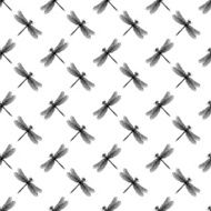 Dragonfly vector pattern N3