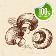Hand drawn sketch vegetables mushrooms Eco food background Vect