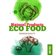 Eco food menu background Watercolor and hand drawn sketch veget N6