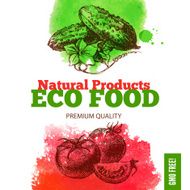 Eco food menu background Watercolor and hand drawn sketch veget N7