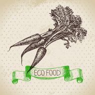 Hand drawn sketch carrots vegetable Eco food background Vector