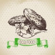 Hand drawn sketch cucumber vegetable Eco food background Vector