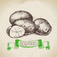 Hand drawn sketch potato vegetable Eco food background Vector i