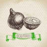 Hand drawn sketch onion vegetable Eco food background Vector il
