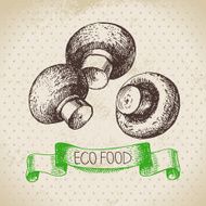 Hand drawn sketch mushrooms vegetable Eco food background Vecto