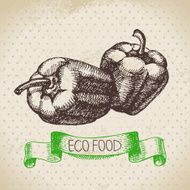 Hand drawn sketch peppers vegetable Eco food background Vector