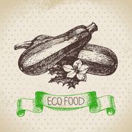 Hand drawn sketch zucchini vegetable Eco food background Vector