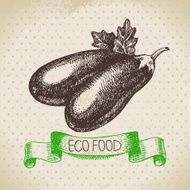 Hand drawn sketch eggplant vegetable Eco food background Vector