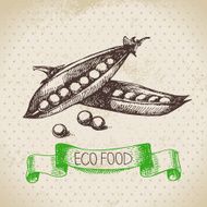 Hand drawn sketch peas vegetable Eco food background Vector ill