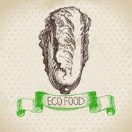 Hand drawn sketch pe-tsai vegetable Eco food background Vector
