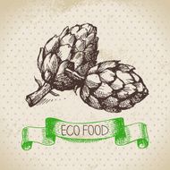 Hand drawn sketch artichoke vegetable Eco food background Vecto