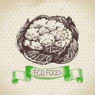 Hand drawn sketch cauliflower vegetable Eco food background Vec