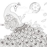 graceful peacock coloring page N2