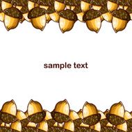 background with nuts
