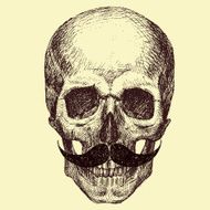 vector skull N7