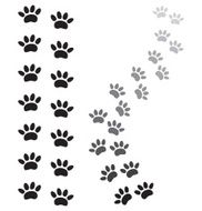 Animal Paw Prints N8
