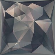 Polygon Vector Background N40