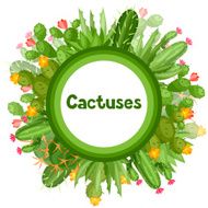 Cactuses and plants abstract natural background design
